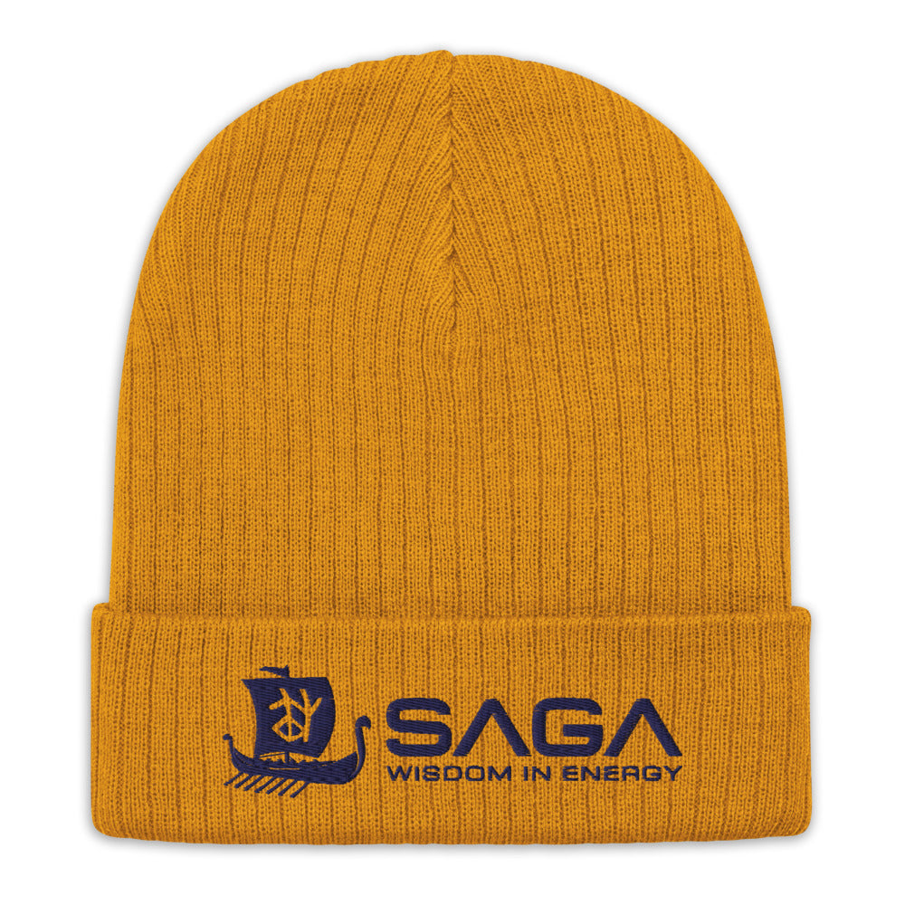 SAGA Wisdom brain warmer